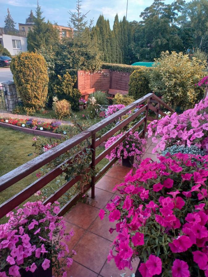 Loft Zulawy, Apartament Na Wylacznosc Nowy Dwór Gdański المظهر الخارجي الصورة